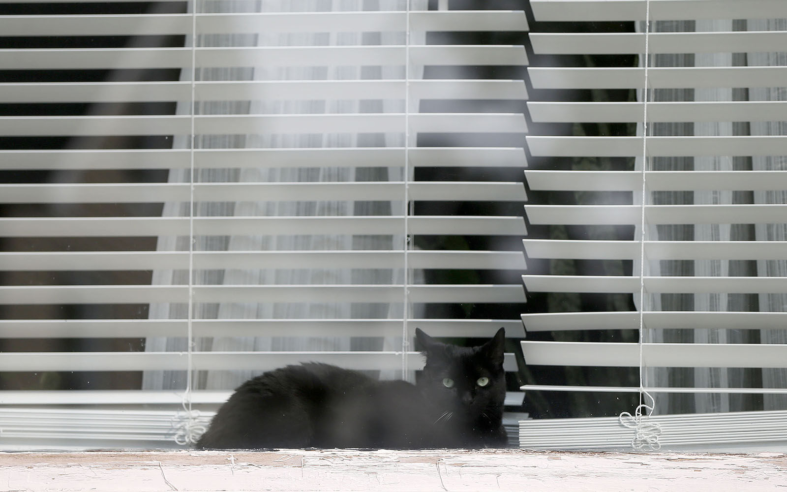 Window view